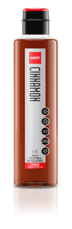 SHOTT Cinnamon Syrup 1Ltr